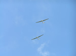 Fly Drive - Glider Display (Sunday
June 30th 2013)(Photo by: Geoff)