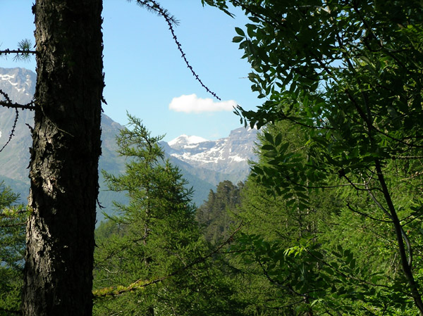 More views