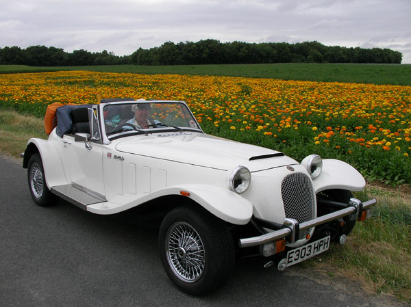 Panther in the Marigolds