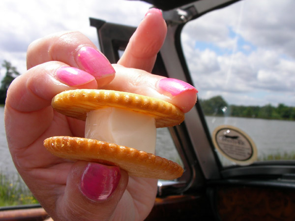 The ultimate picnic snack