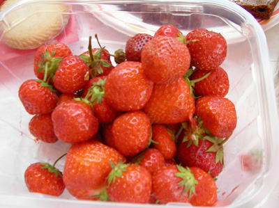 The Strawberries