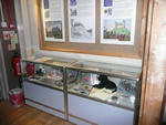 Stafford Castle Show -  Sunday 29th July 2012 / The glass display cabinet is at Stafford Castle in the Visitor Information Centre. (Photo by: Terry B.)