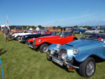 The Aberaeron 2014 show - August 9th 2014