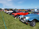 The Aberaeron 2014 show - August 9th 2014