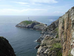 Anglesey Tour - May 9th,10th 11th 2023 - South Stack RSPB reserve